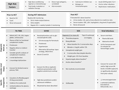 Review of acute kidney injury and progression to chronic kidney disease in pediatric patients undergoing hematopoietic cell transplant